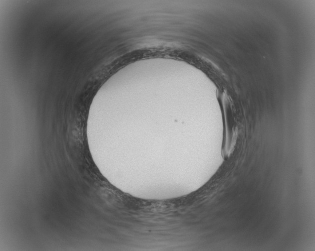 X0000082200869200702170016