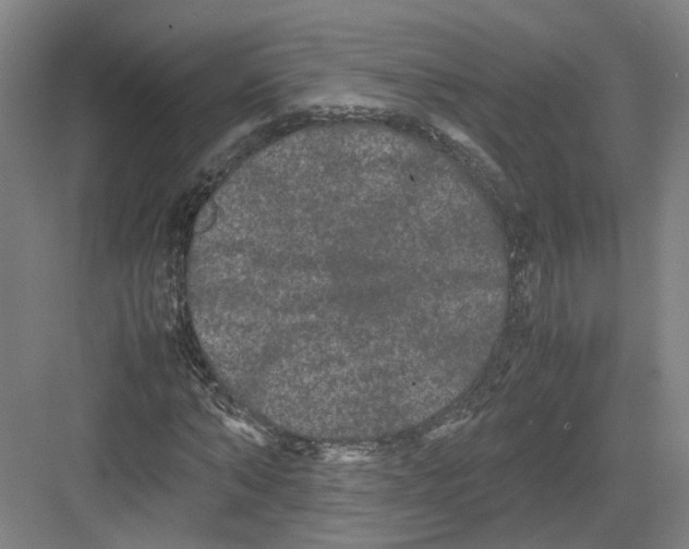 X0000082200870200702170016