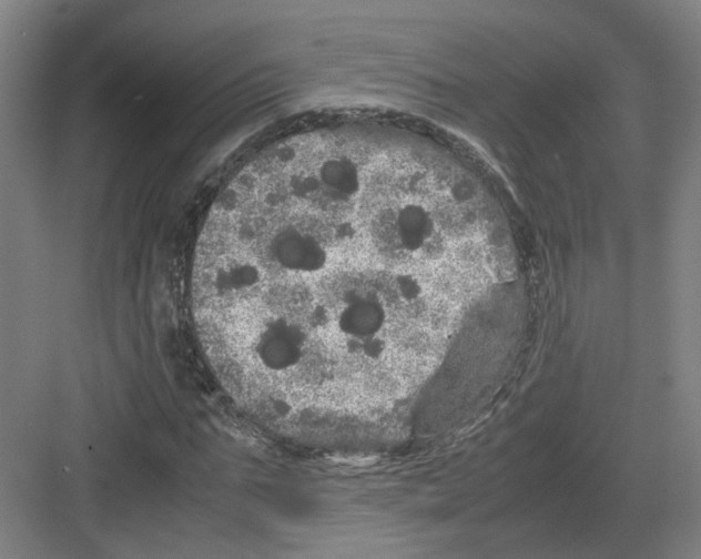 X0000082200871200702170016