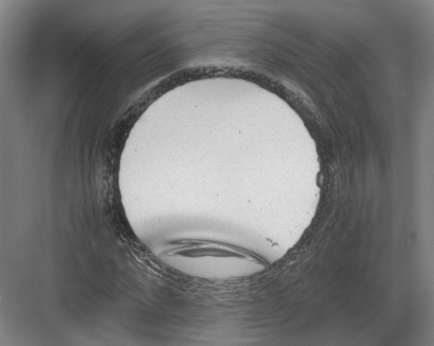 X0000082200872200702170016