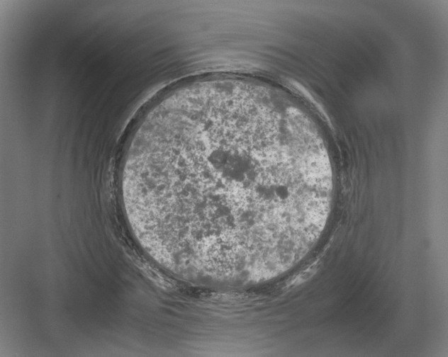 X0000082200875200702170015