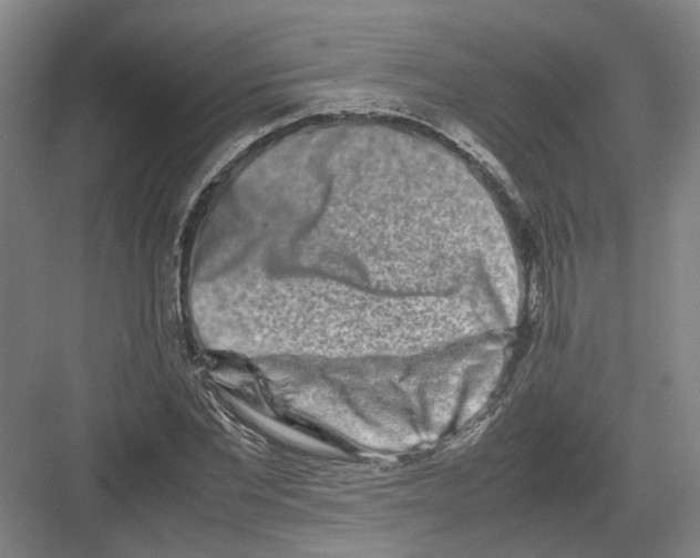 X0000082200877200702170015