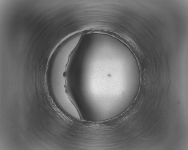 X0000082200880200702170015