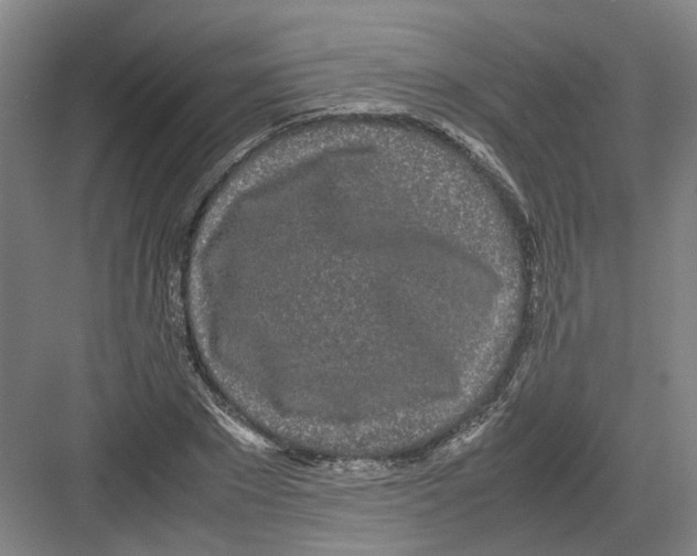 X0000082200881200702170015