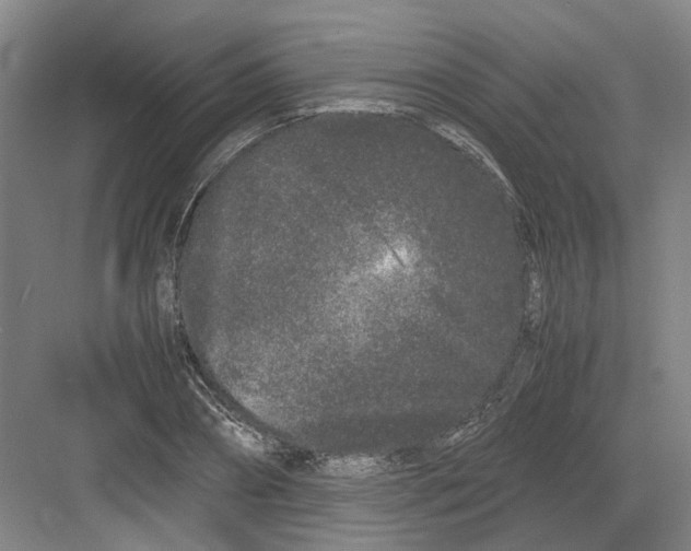 X0000082200882200702170015