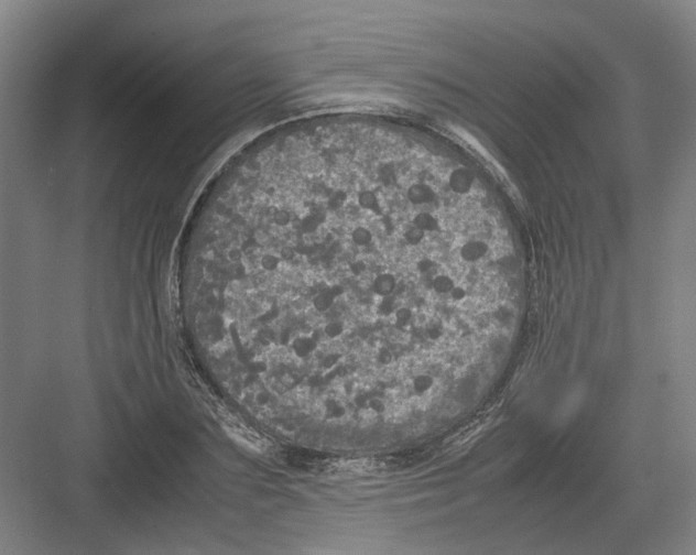 X0000082200883200702170015