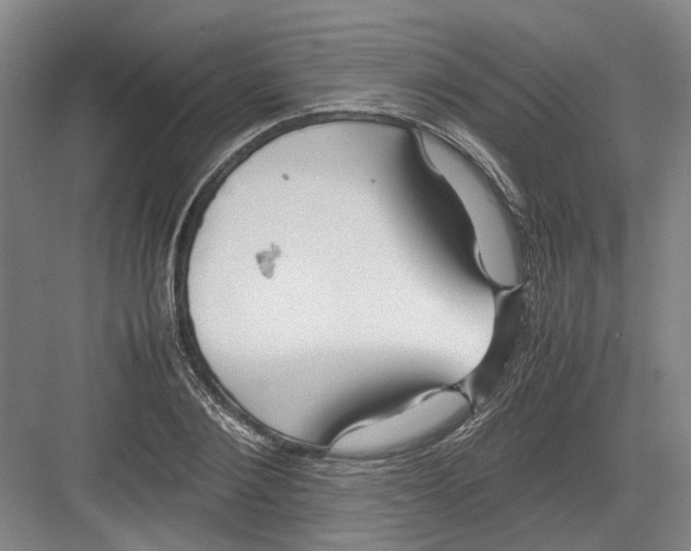 X0000082200884200702170015