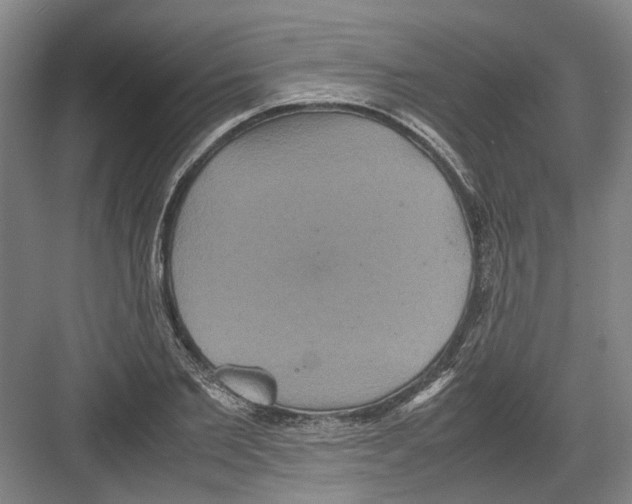 X0000082200885200702170015