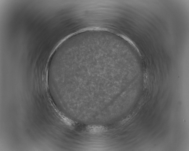 X0000082200886200702170015