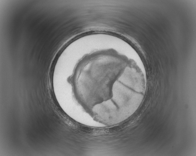 X0000082200887200702170015