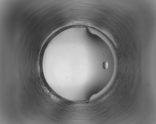 X0000082200888200702170015