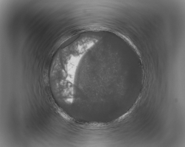 X0000082200889200702170015