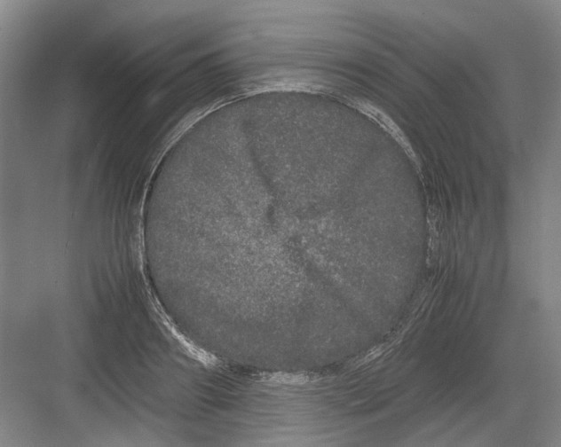 X0000082200890200702170015