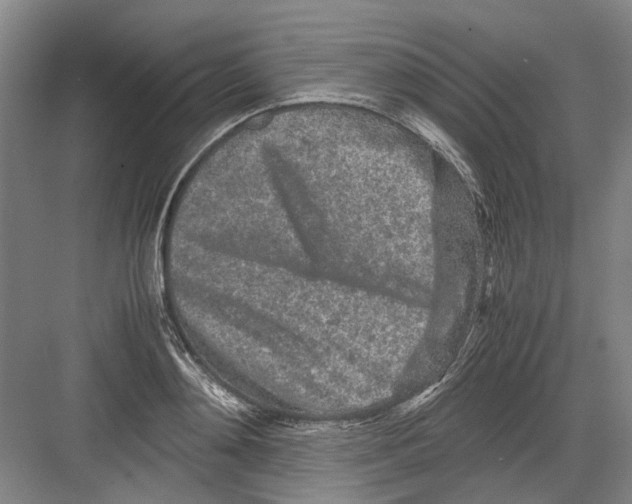 X0000082200892200702170015