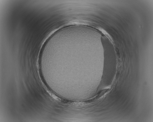 X0000082200893200702170015