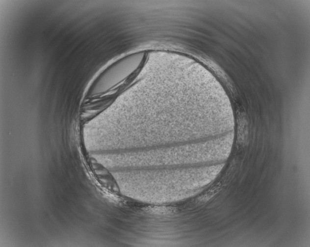 X0000082200896200702170015