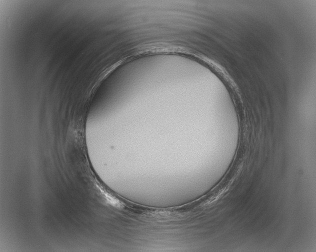 X0000082200897200702170015