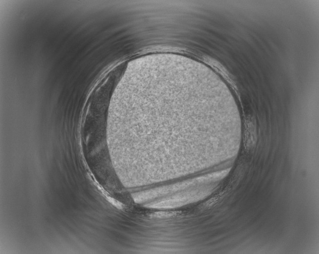 X0000082200898200702170015