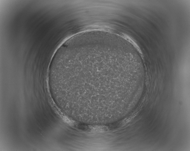 X0000082200899200702170015