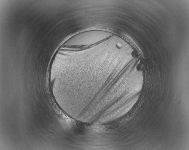 X0000082200900200702170015