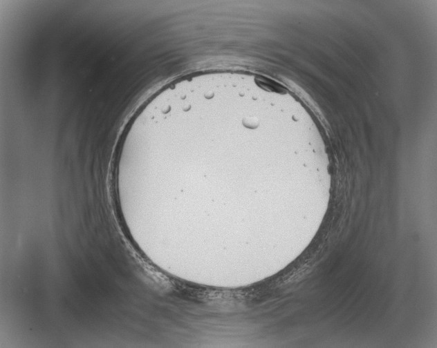 X0000082200901200702170015