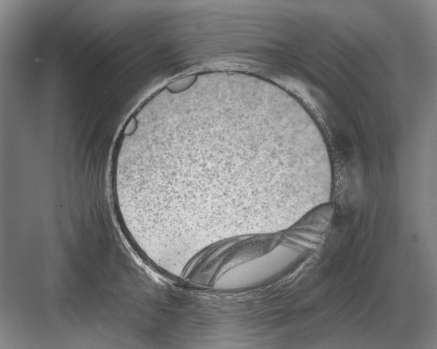 X0000082200902200702170015