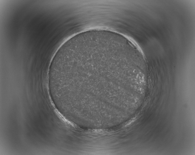 X0000082200903200702170015