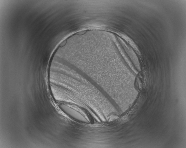 X0000082200904200702170015