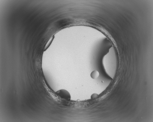 X0000082200905200702170015