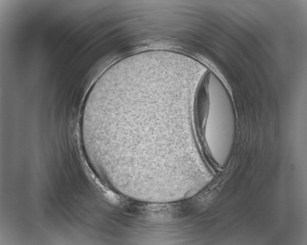 X0000082200906200702170015