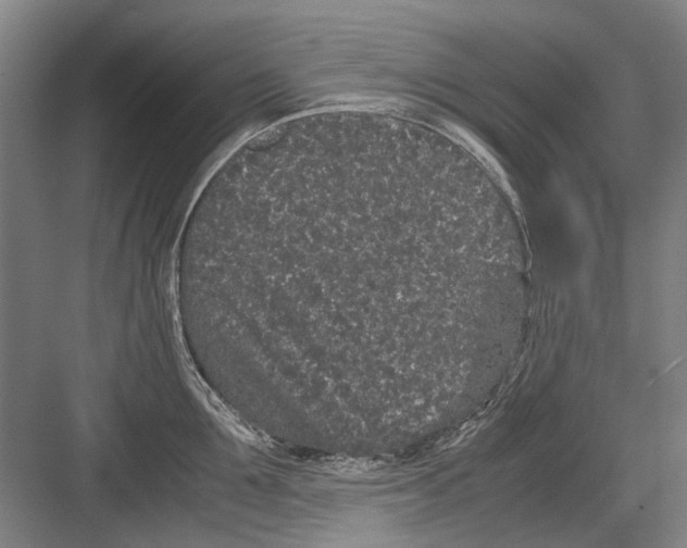 X0000082200907200702170015