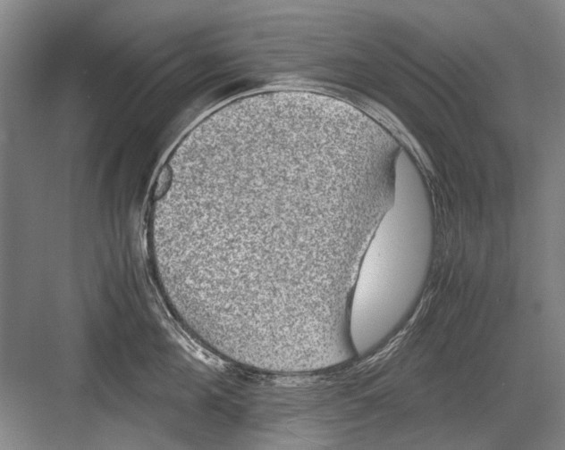 X0000082200908200702170015