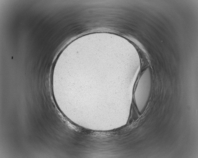 X0000082200910200702170015