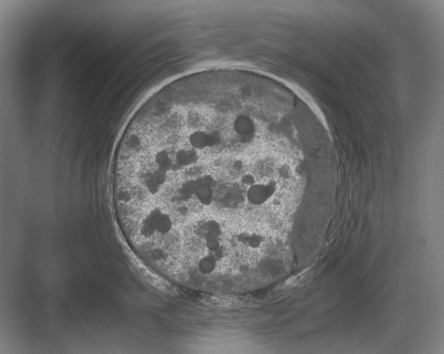 X0000082200911200702170015