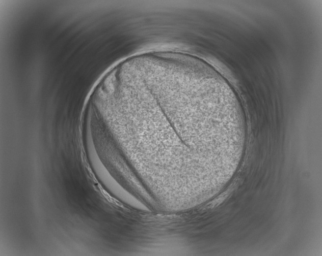 X0000082200912200702170015