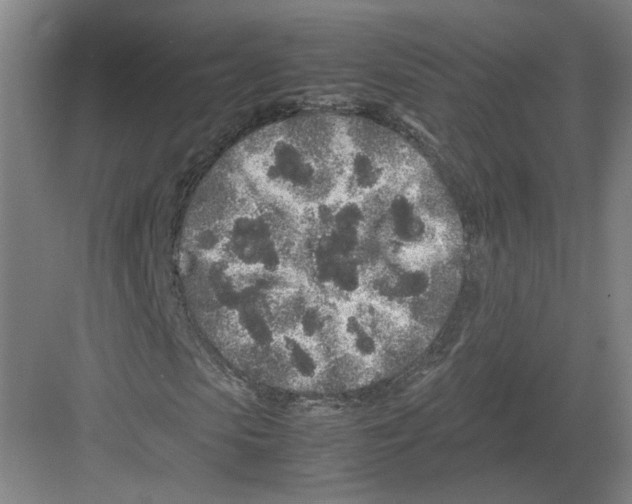 X0000082200913200702170014