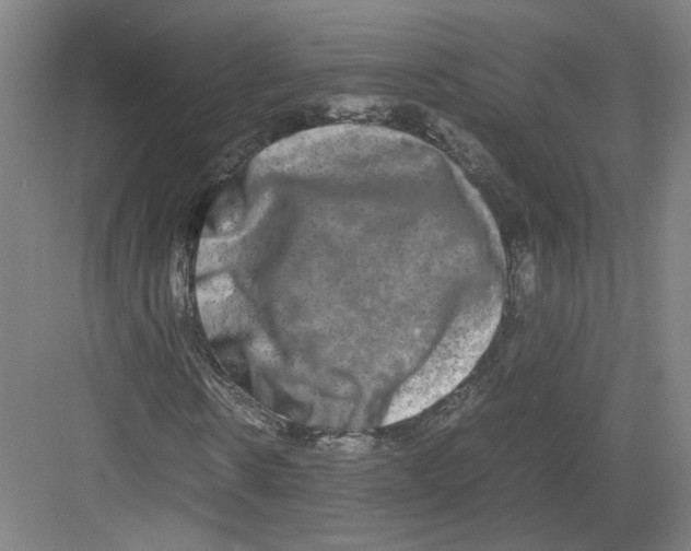 X0000082200914200702170014