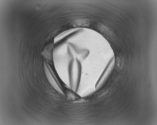 X0000082200915200702170014