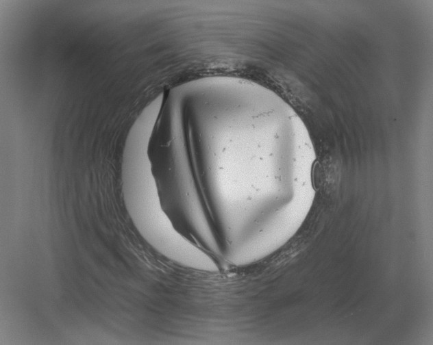 X0000082200916200702170014