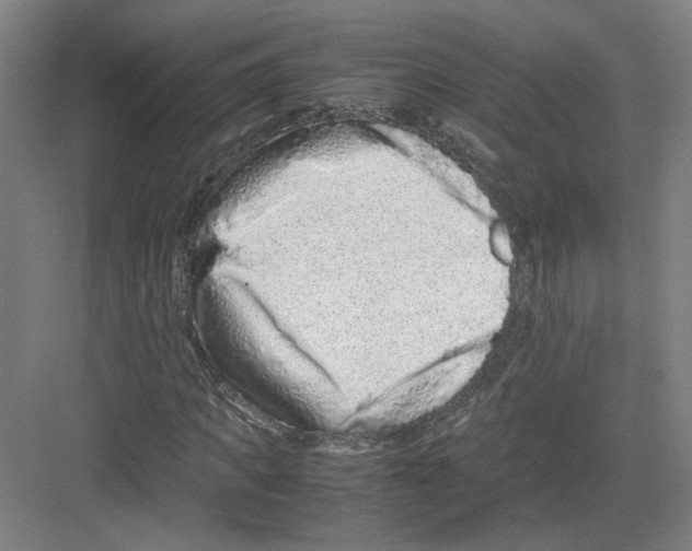 X0000082200917200702170014