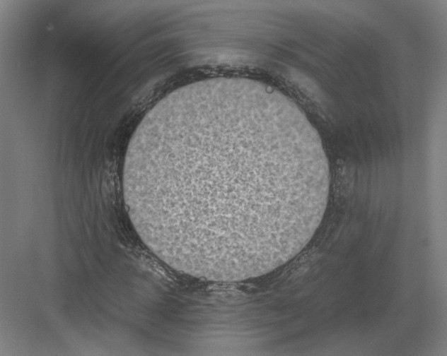 X0000082200918200702170014