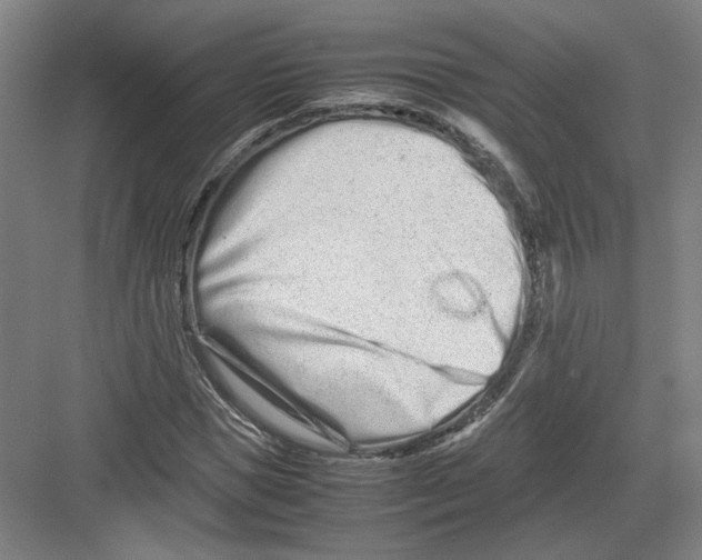 X0000082200921200702170014