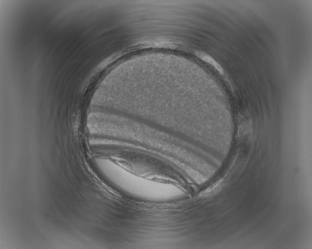 X0000082200922200702170014