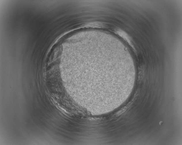 X0000082200923200702170014