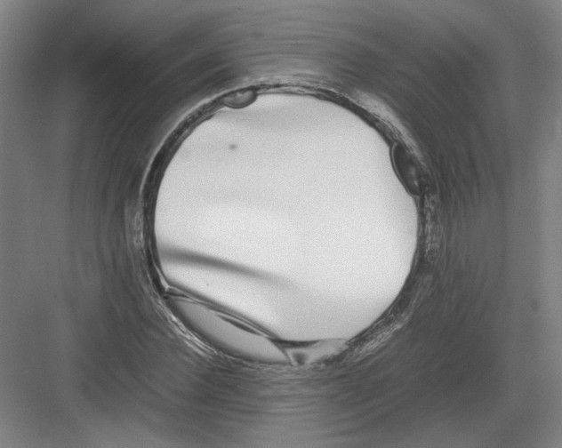 X0000082200924200702170014