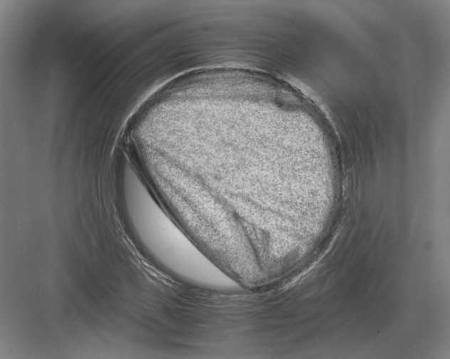 X0000082200925200702170014