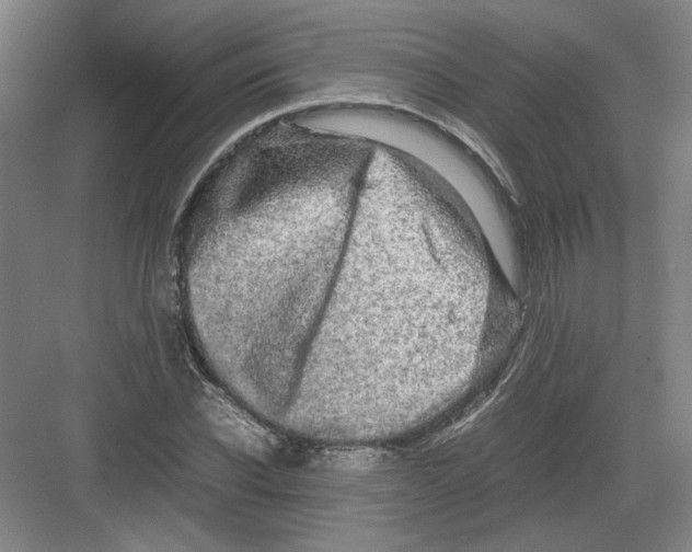 X0000082200926200702170014