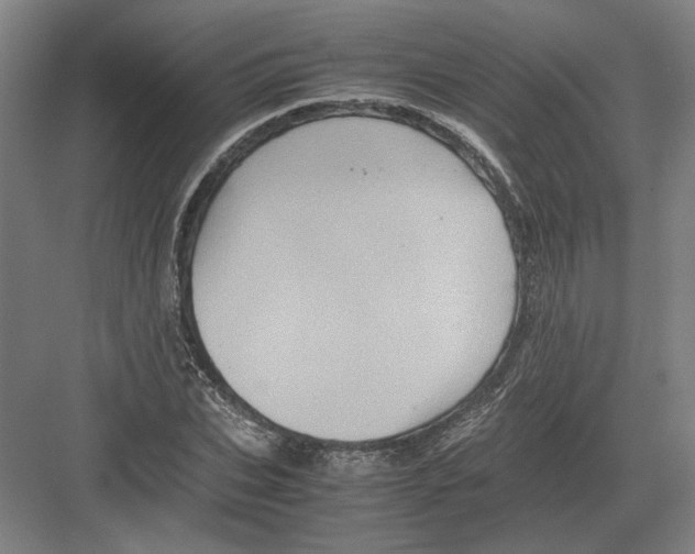 X0000082200927200702170014