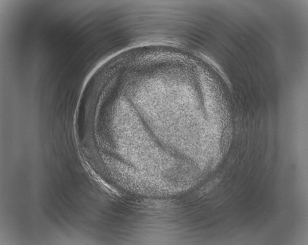 X0000082200928200702170014