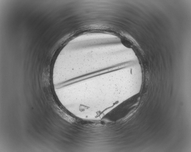 X0000082200930200702170014